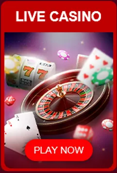 37f048ce 057c 4104 b9f4 245e7a69cede web